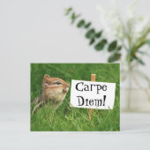 Carpe Diem! Chipmunk mit Zeichen Postkarte (Stehend Vorderseite)