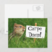 Carpe Diem! Chipmunk mit Zeichen Postkarte (Vorne/Hinten)
