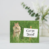 Carpe Diem Chipmunk mit Zeichen-Postkarte Postkarte (Stehend Vorderseite)
