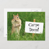Carpe Diem Chipmunk mit Zeichen-Postkarte Postkarte (Vorne/Hinten)