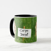Carpe Diem! Chipmunk mit Zeichen Tasse (Vorderseite Links)