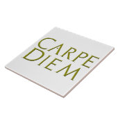Carpe Diem Fliese (Seite)