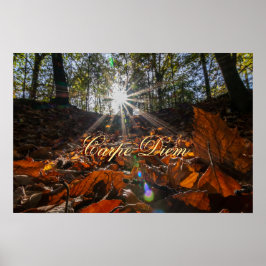 Carpe Diem glänzende, farbenfrohe Blätter Wald Son Poster