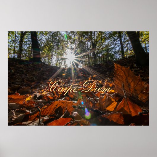Carpe Diem glänzende, farbenfrohe Blätter Wald Son Poster (Vorne)