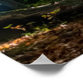 Carpe Diem glänzende, farbenfrohe Blätter Wald Son Poster (Ecke)