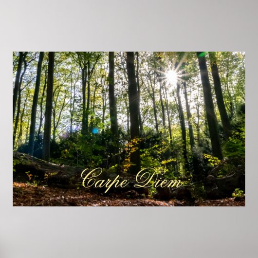Carpe Diem glänzende, farbenfrohe Blätter Wald Son Poster (Vorne)