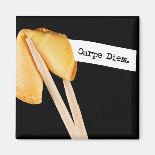 Carpe Diem Glückskeks Magnet