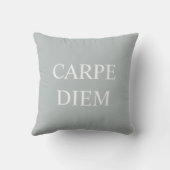 Carpe Diem Latin Quote Cushion - Grau Kissen (Rückseite)