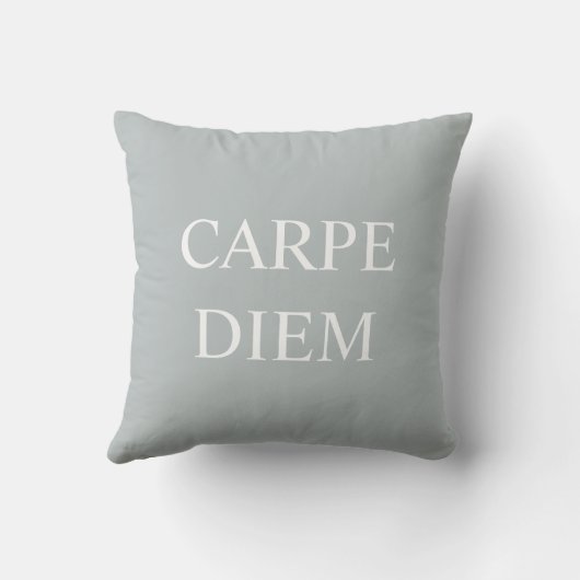 Carpe Diem Latin Quote Cushion - Grau Kissen (Rückseite)