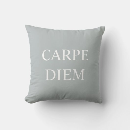 Carpe Diem Latin Quote Cushion - Grau Kissen (Vorderseite)