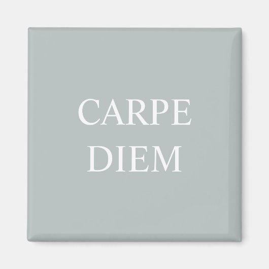Carpe Diem Latin Quote Magnet (Vorne)