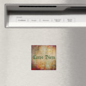 Carpe Diem Magnet (In Situ (Geschirrspüler))