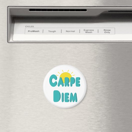 Carpe Diem Magnet (In Situ (Geschirrspüler))