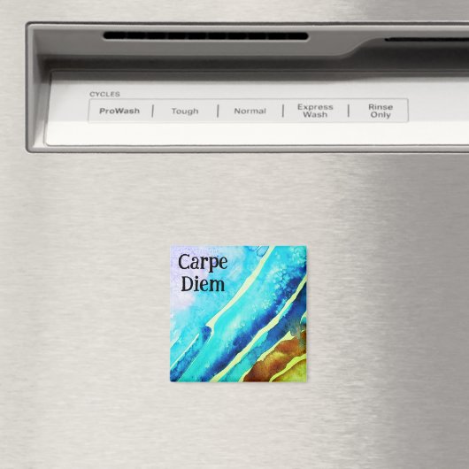 Carpe diem magnet (In Situ (Geschirrspüler))