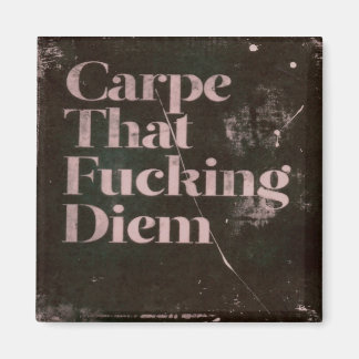 Carpe diem magnet
