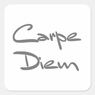 CARPE DIEM Moderner Cooler Text Quadratischer Aufkleber