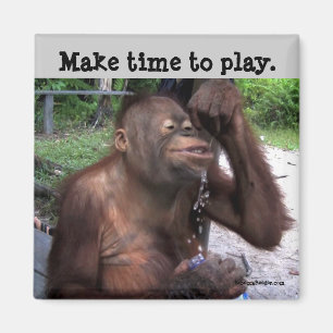 Carpe Diem niedliche wild lebende Tiere Magnet