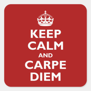 Carpe Diem! Quadratischer Aufkleber