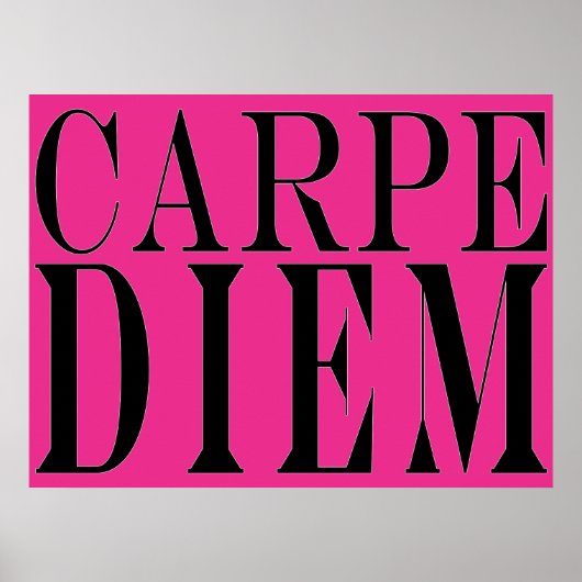 Carpe Diem Seize the Day Latin Quote Glück Poster (Vorne)