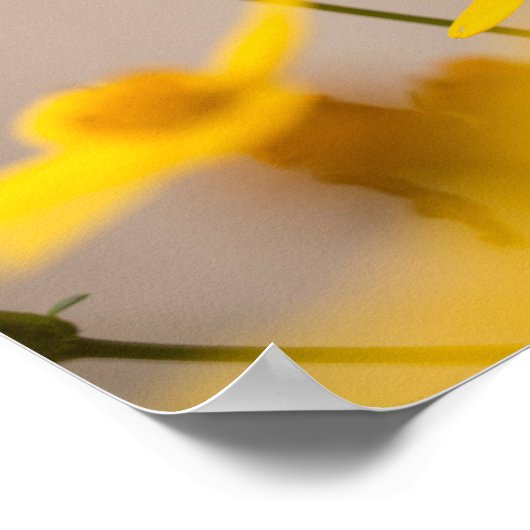 Carpe Diem Seize the Day Poster (Ecke)