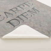 Carpe Diem Stone Sherpa Decke Sherpadecke (3/4)