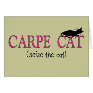 Carpe Katzen-(ergreifen Sie die Katze), Geschenke