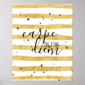 Carpe the f'ing Diem Poster (Vorne)