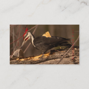 Carpenter, Holzarbeiter, Kabinettmacher auf zwei S Visitenkarte