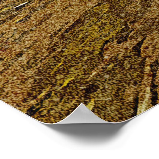 Carpinteria Beach Poster (Ecke)