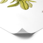 Carpinus betulus (Europäischer Hornstrahl) Poster (Ecke)