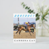 Carrera Cat Postkarte (Stehend Vorderseite)