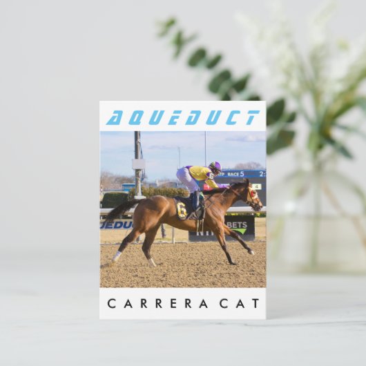 Carrera Cat Postkarte (Stehend Vorderseite)