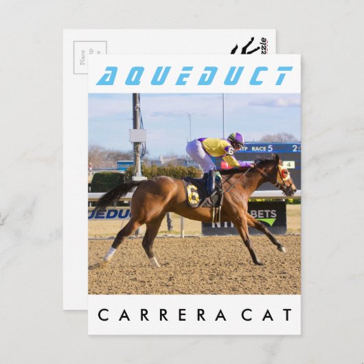 Carrera Cat Postkarte (Vorne/Hinten)