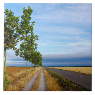 Carretera Hacia Reliegos Fliese