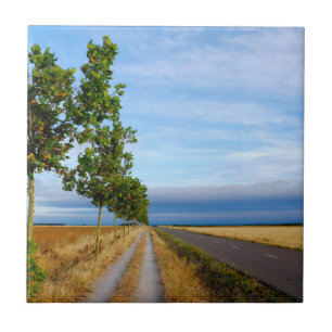 Carretera Hacia Reliegos Fliese