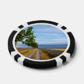 Carretera Hacia Reliegos Pokerchips (Einzeln)