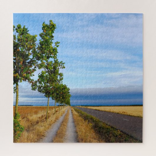 Carretera Hacia Reliegos Puzzle (Vertikal)