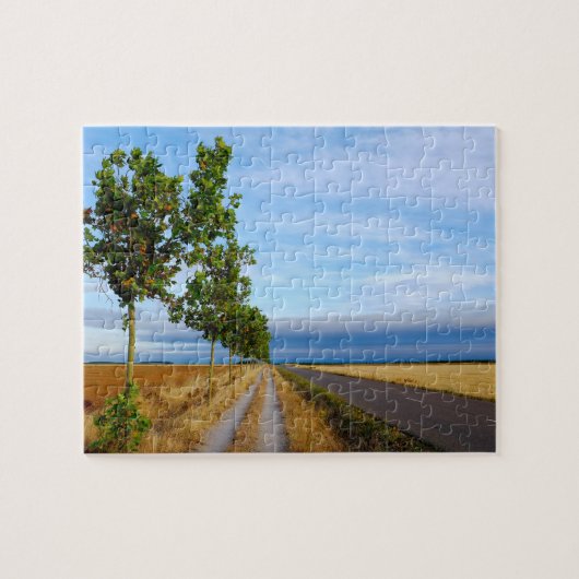 Carretera Hacia Reliegos Puzzle (Horizontal)