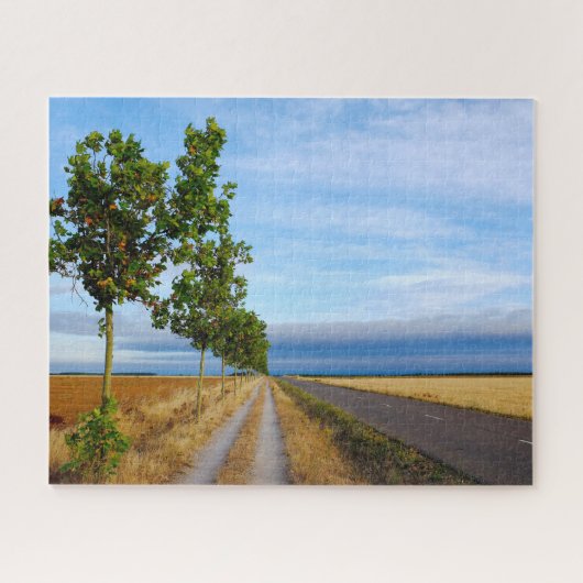 Carretera Hacia Reliegos Puzzle (Horizontal)