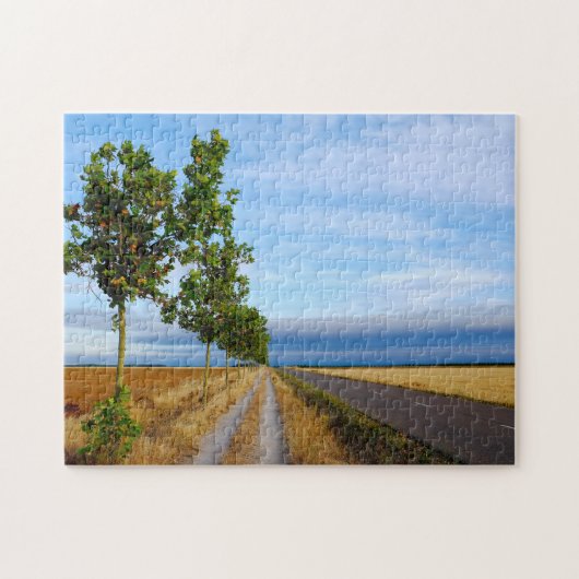 Carretera Hacia Reliegos Puzzle (Horizontal)