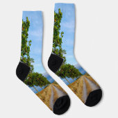 Carretera Hacia Reliegos Socken (Rechts)