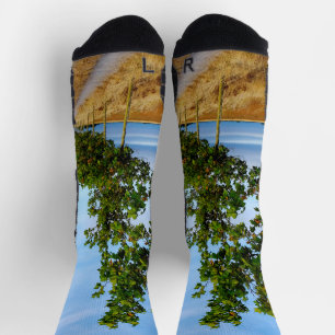 Carretera Hacia Reliegos Socken