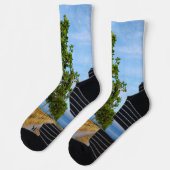 Carretera Hacia Reliegos Socken (Links)