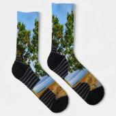 Carretera Hacia Reliegos Socken (Rechts)