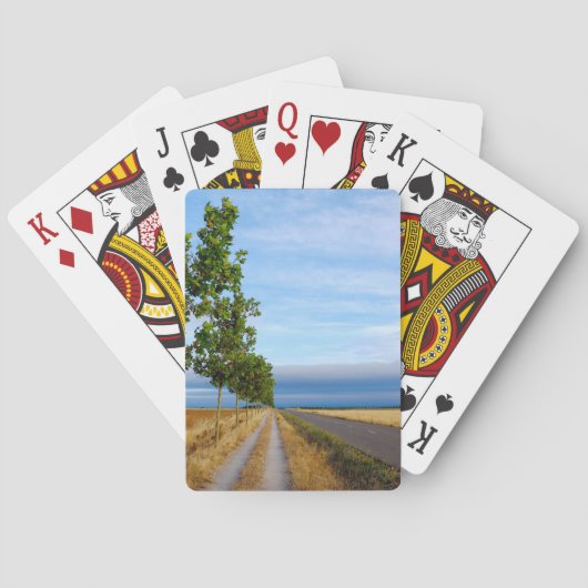 Carretera Hacia Reliegos Spielkarten (Rückseite)
