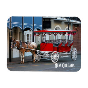 Carriage Ride New Orleans Magnet