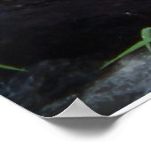 CARRIBEAN BIRD POSTER (Ecke)