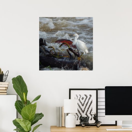 CARRIBEAN BIRD POSTER (Heimbüro)