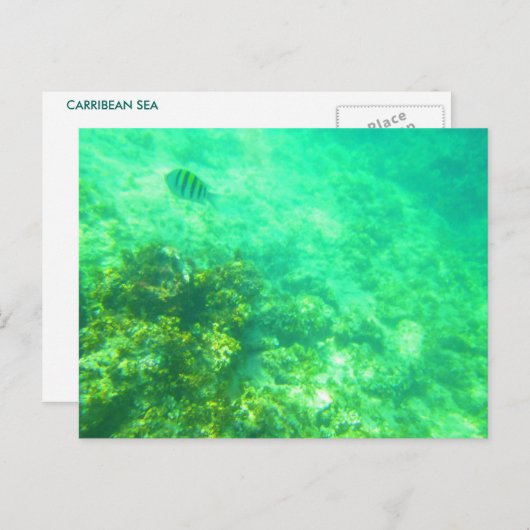 CARRIBEAN POSTCARD 2 POSTKARTE (Vorne/Hinten)