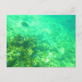 CARRIBEAN POSTCARD 2 POSTKARTE